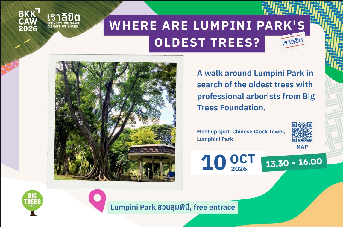 Where are Lumpini Park's oldest trees?